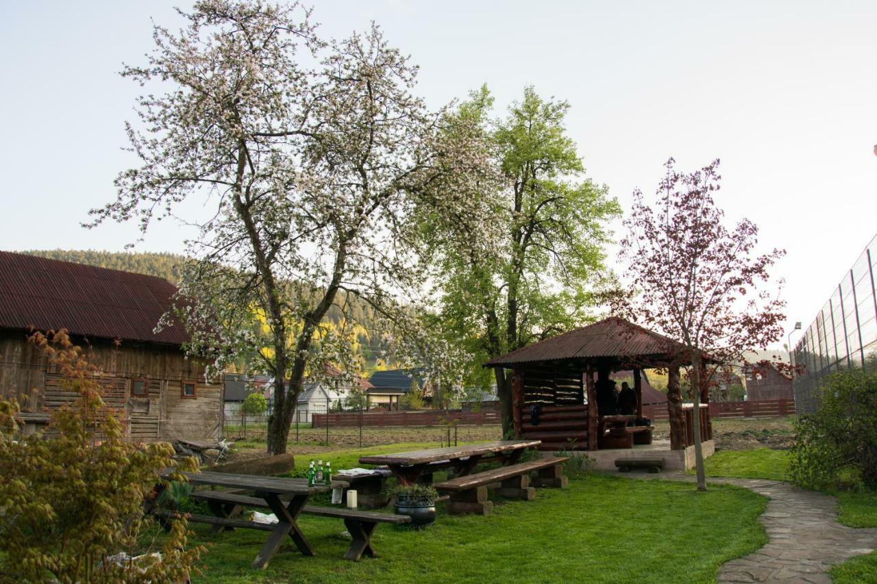 Casa Rares Sucevita Exteriér fotografie
